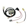 TAG WIRING HARNESS DIRECT FIT ECU KIT